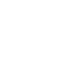 Diesel generator