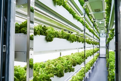 Atmosfera controllata e container refrigerati per migliorare la shelf life dell'ortofrutta